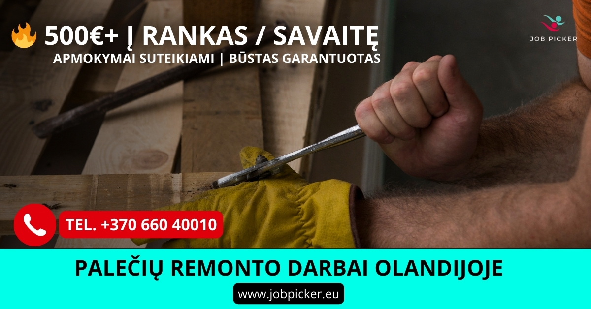 Palečių remontuotojas Olandijoje