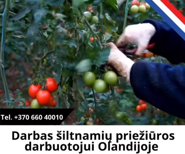 pracownik ds. pielęgnacji szklarni