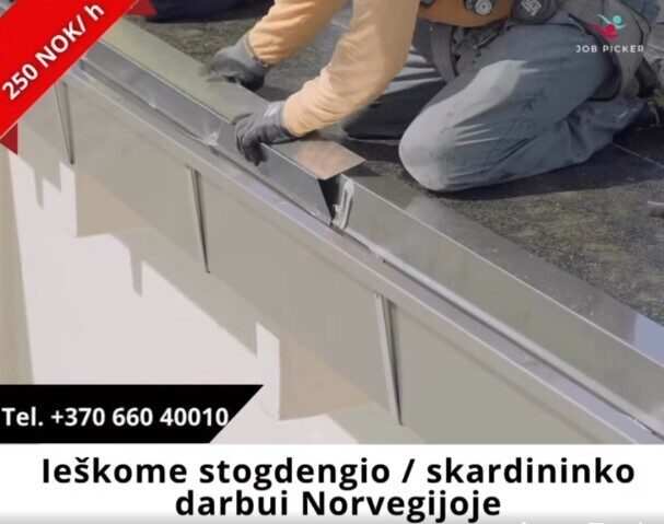 Stogdengys skardintojas