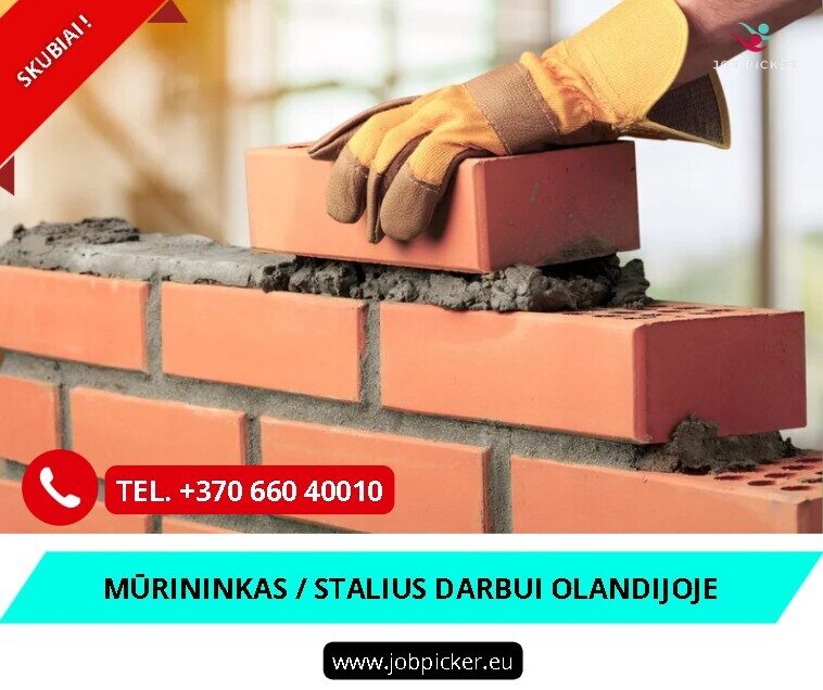 mūrininnkas stalius darbas užsienyje