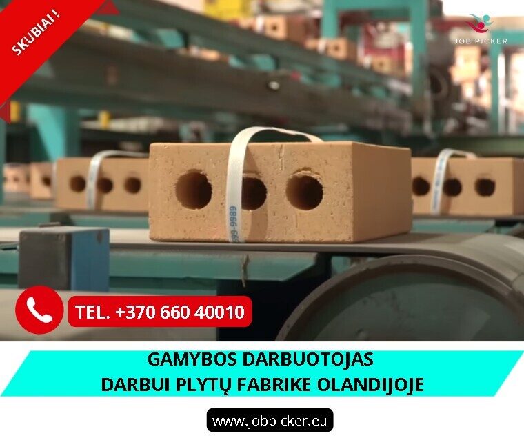 Darbas fabrike Olandijoje - darbas užsienyje
