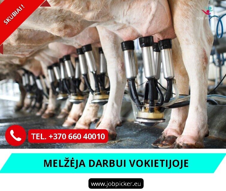 Melžėja darbas Vokietijoje